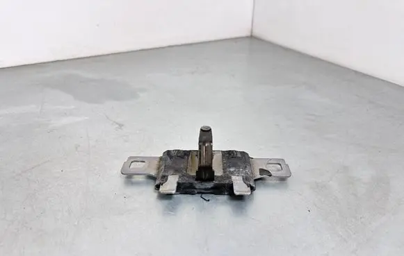 Audi A4 S4 B9 Loading door lock loop/hook striker 8W9827507