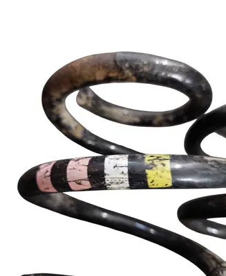 Audi A4 S4 B7 8E 8H Front coil spring 
