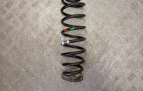 Rear coil spring