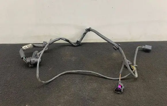 Audi A6 S6 C6 4F Other wiring loom 4F0971073 FR1174