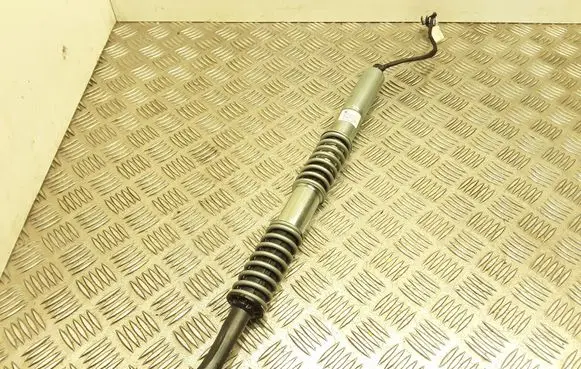 Tailgate strut