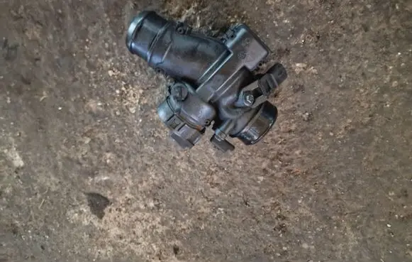 Citroen Berlingo Throttle valve