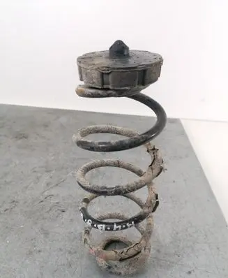 Audi A4 S4 B8 8K Rear coil spring