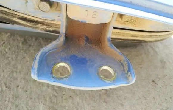 Rear door lower hinge