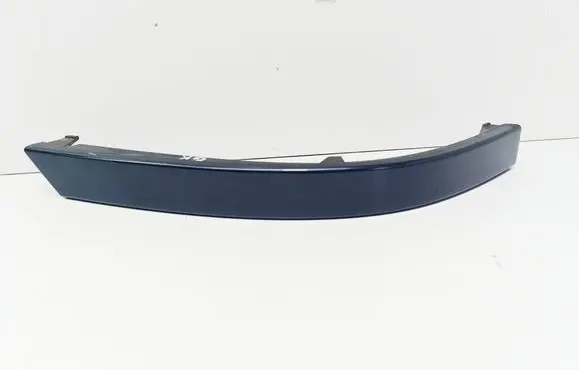 Rear/tail light trim molding