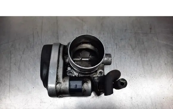 Seat Altea XL Throttle valve