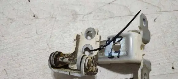 Renault Captur Rear door hinge set 804010016R