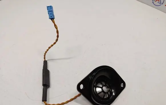 Panel speaker