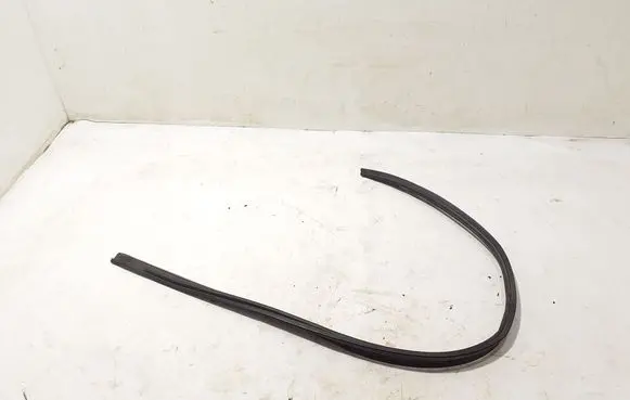 Dacia Logan II Front door rubber seal 768613399R