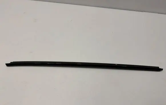 Jaguar F-Type Front door glass trim molding EX5321453DB