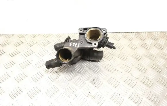Thermostat/thermostat housing
