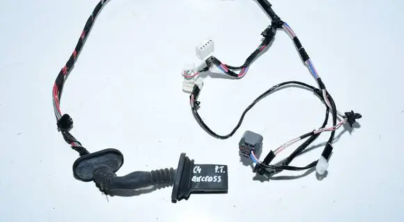 Rear door wiring loom