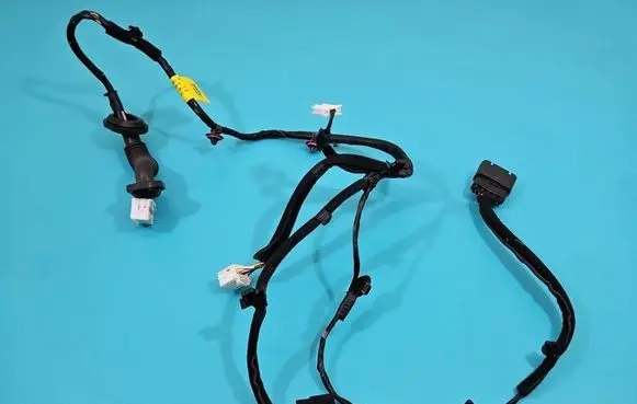Rear door wiring loom
