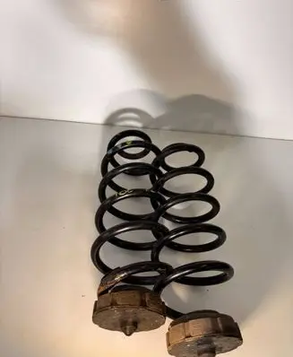 Rear coil spring