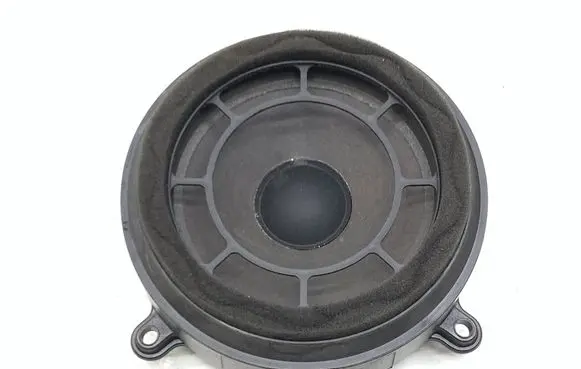 Front door speaker