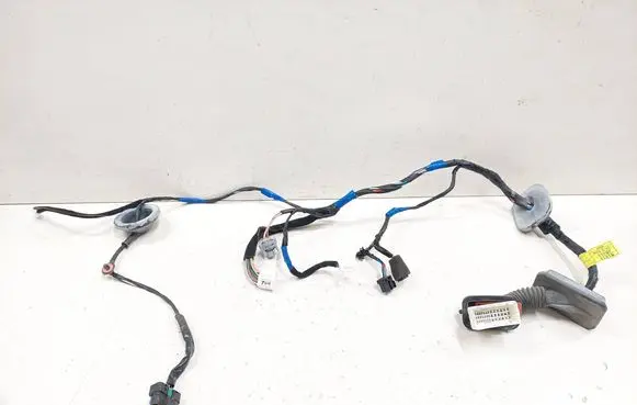 Hyundai Santa Fe Front door wiring loom 916102B200 05C2704 06012