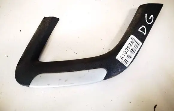 Other rear door trim element