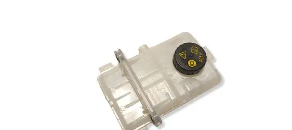 Renault Kangoo III Brake fluid reservoir 460913338R