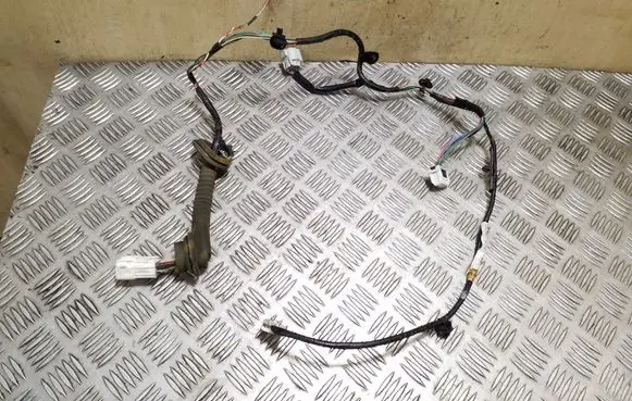 Rear door wiring loom