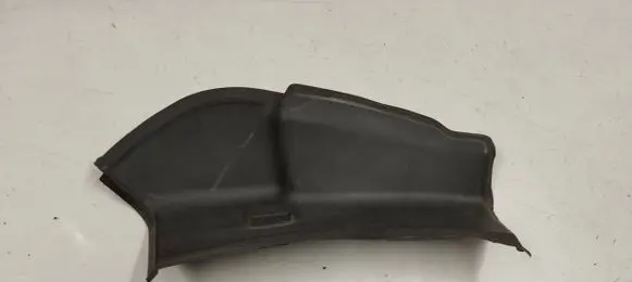 Rear/tail light trim molding
