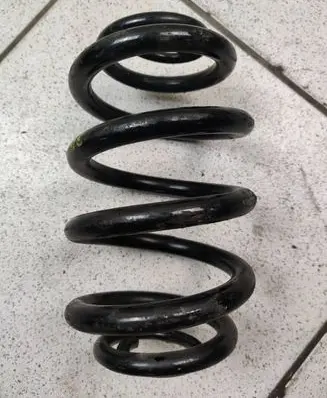 Rear coil spring