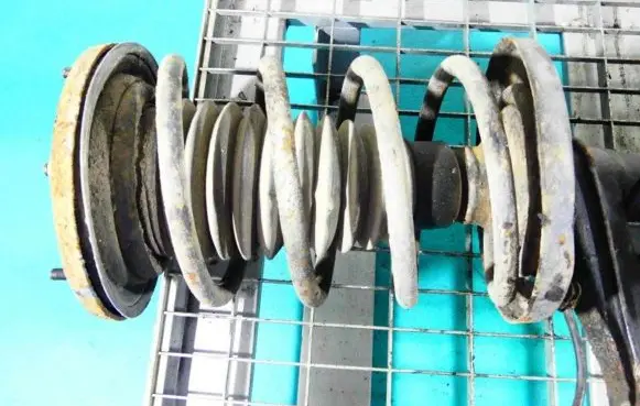 Front coil spring