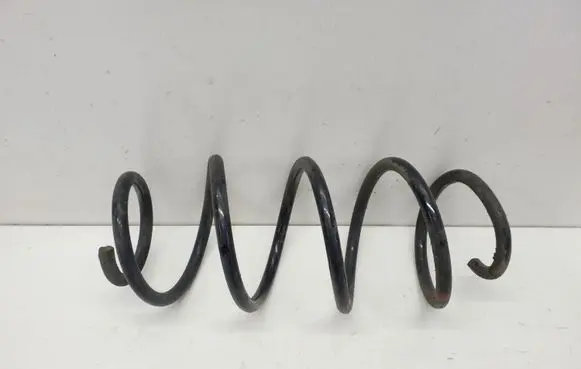 Volkswagen Tiguan Front coil spring