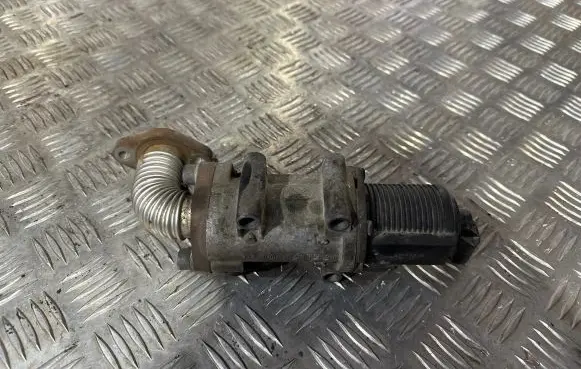 Opel Zafira B EGR valve 50024005
