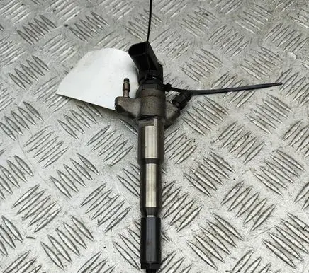 Opel Movano B Fuel injector 166000372R