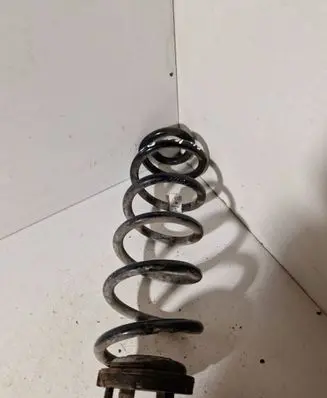 Rear coil spring