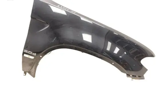 BMW X5 E53 Fender 