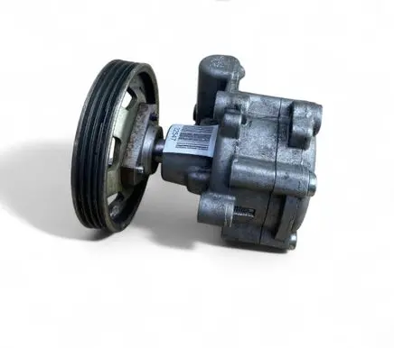 Renault Thalia II Power steering pump 491101451R