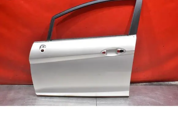 Ford Fiesta Front door