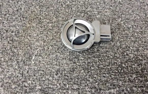 Front door high frequency speaker