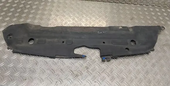 Radiator trim