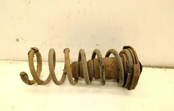 Rear coil spring