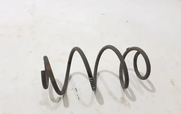 Rear coil spring