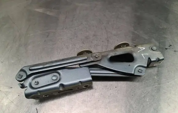 Peugeot 407 Tailgate/trunk/boot hinge