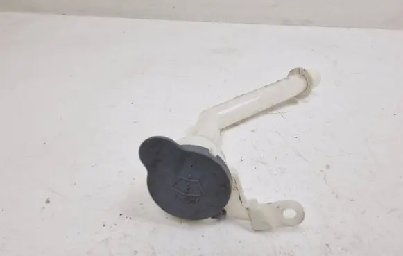Nissan Qashqai Window washer liquid tank fill tube E9001056