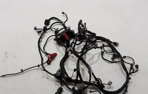 Tesla Model S Other wiring loom 1011301
