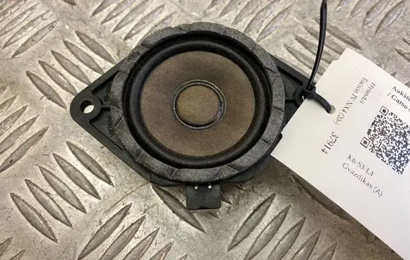 Front door high frequency speaker