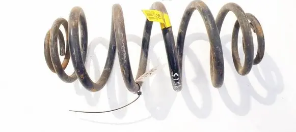 Rear coil spring