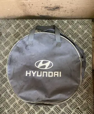 Hyundai Ioniq Electric car charging cable DSIEC2BEV