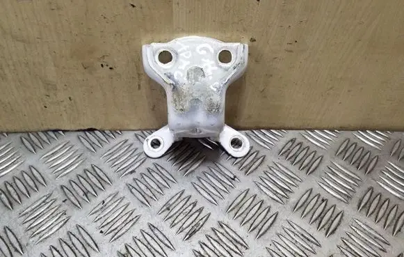 Opel Antara Rear door lower hinge