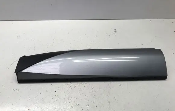 Rear door trim (molding)