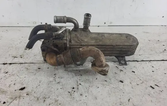 Skoda Octavia Mk2 (1Z) EGR valve cooler 038131513AD 13806 219013206