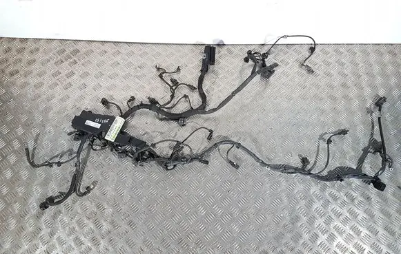 Engine installation wiring loom