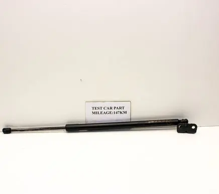 Tailgate/trunk strut/damper
