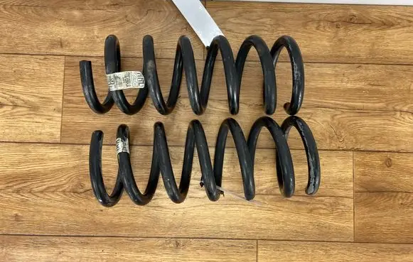 Ford Mustang VII Rear coil spring FR3C5560LAPI FR3C5560LA