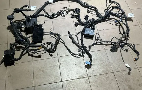 Engine installation wiring loom
